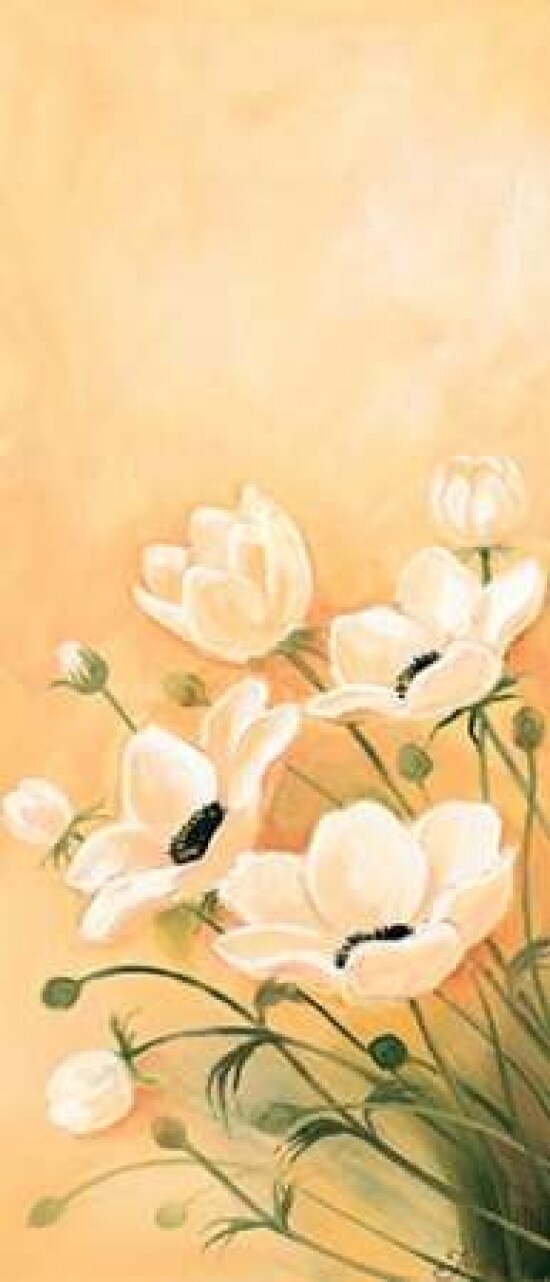 White poppies 1-3 Poster Print by Jasper - Item # VARPDXMLV003