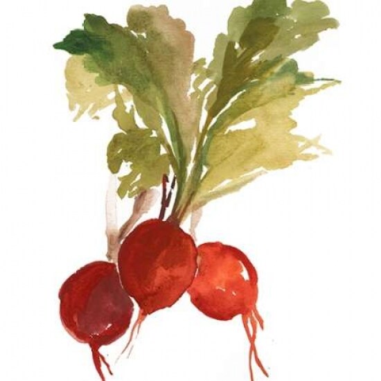 Radish Poster Print by Asia Jensen