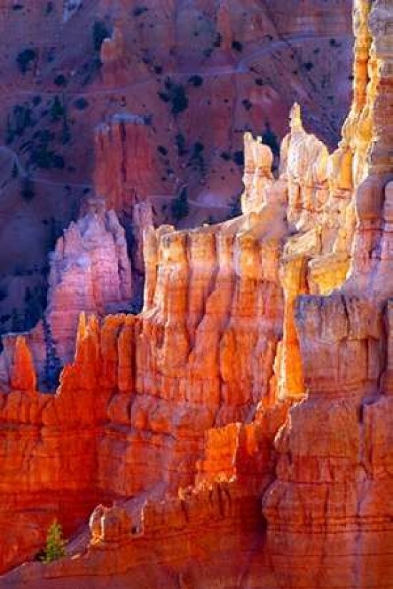 Bryce Canyon Dawn Poster Print by Douglas Taylor - Item # VARPDXPSTLR191