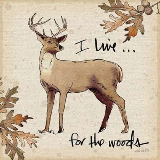 Lodge Life II Poster Print by Anne Tavoletti - Item # VARPDX18552