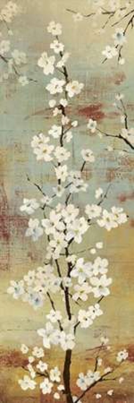 Blossom Canopy II Poster Print by Asia Jensen