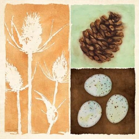 Lodge Collage III Poster Print by Stephanie Marrott - Item # VARPDXSM15643