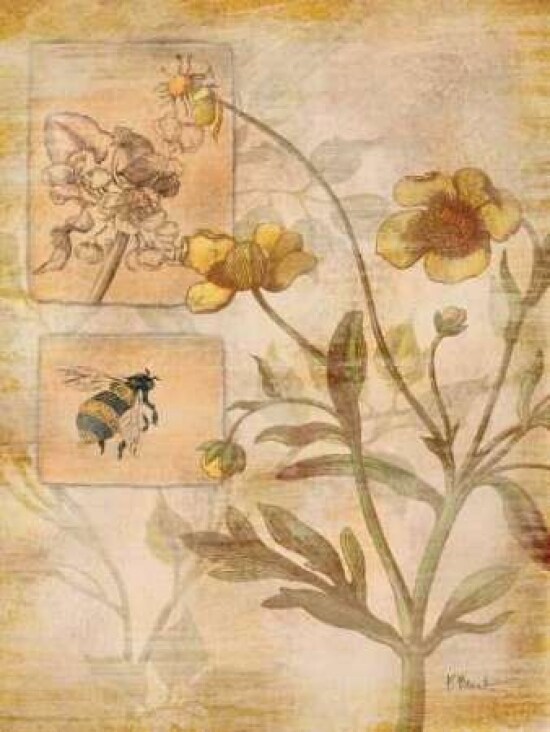 Flora Bumble Bee Poster Print by Paul Brent - Item # VARPDXBNT176