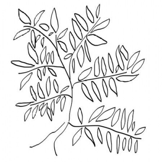 A Black and White Tree Poster Print by Jan Weiss - Item # VARPDXW716D