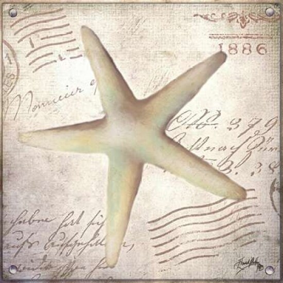 Beach Shell IV Poster Print by Elizabeth Medley - Item # VARPDX9342B