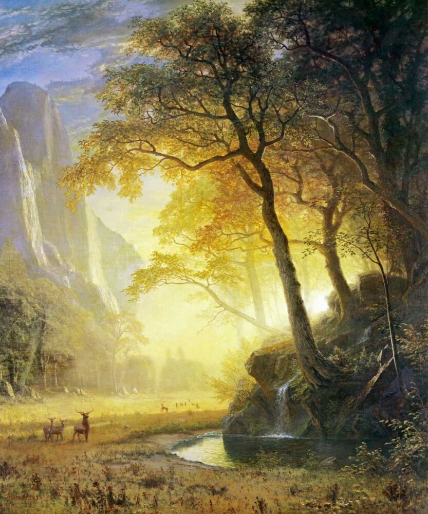 Hetch Hetchy Canyon Poster Print by Albert Bierstadt - Item # VARPDX133298