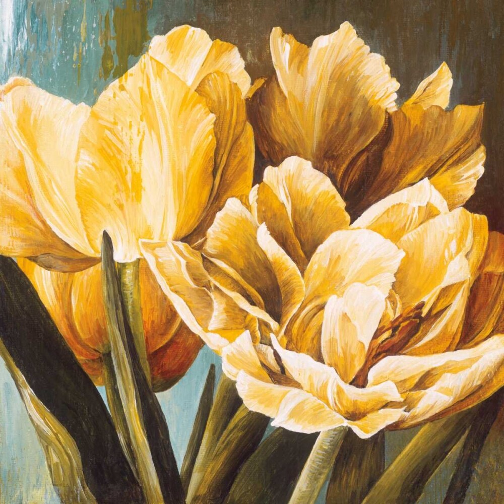 Floral Radiance II Poster Print by Linda Thompson - Item # VARPDX16236