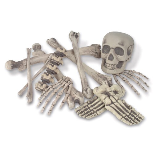 Bag &#x27;O Bones