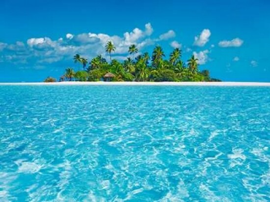 Tropical lagoon with palm island, Maldives Poster Print by  Frank Krahmer - Item # VARPDX3FK3155