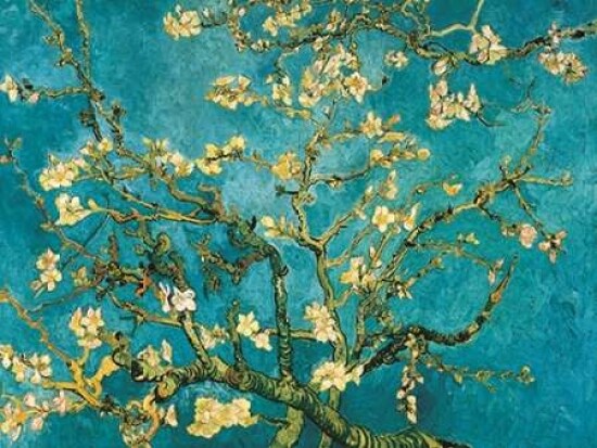 Mandorlo in fiore Poster Print by Vincent Van Gogh - Item # VARPDX3VG052