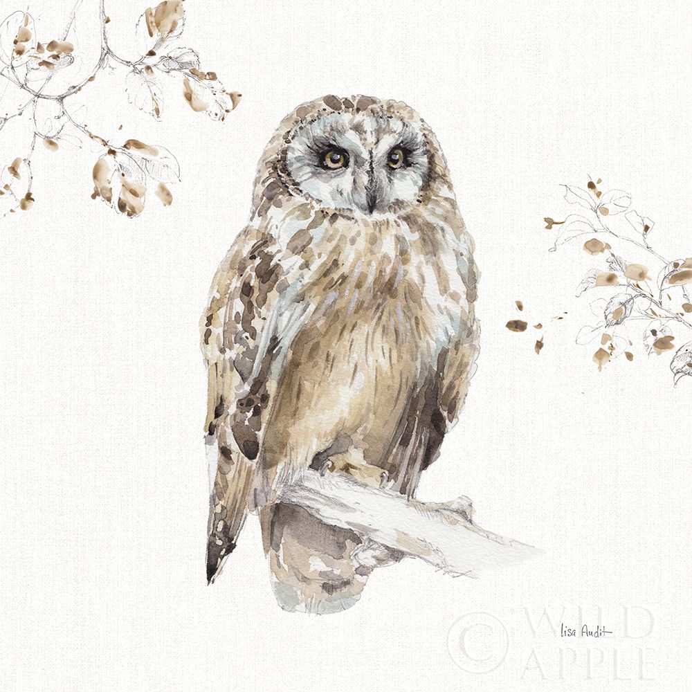 A Woodland Walk Viii Poster Print by Lisa Audit - Item # VARPDX32672