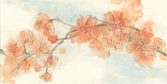 Peach Blossom II Poster Print by Chis Paschke - Item # VARPDX21592