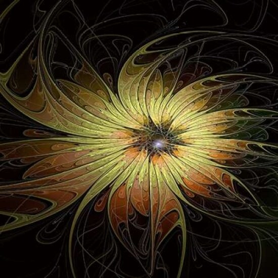 Bright Flower Poster Print by Amanda Moore - Item # VARPDX14098