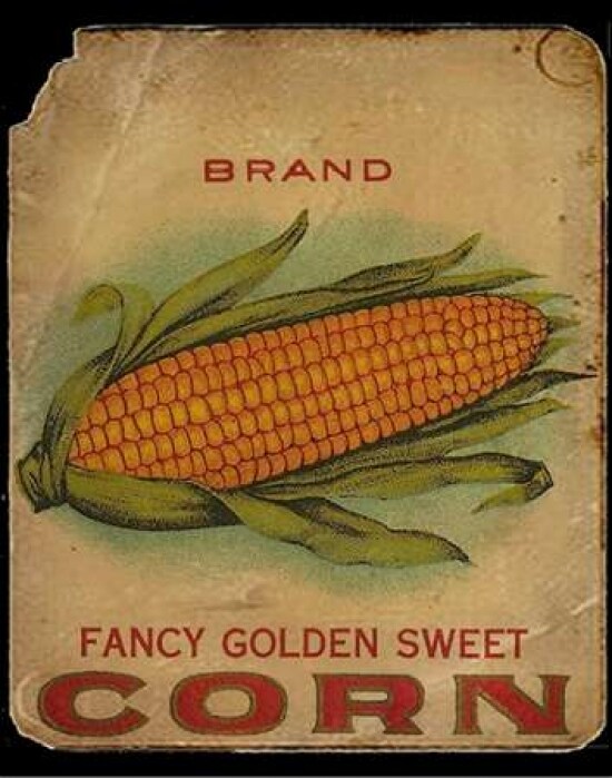 Vintage Corn Poster Print by Beth Albert - Item # VARPDXBA1191