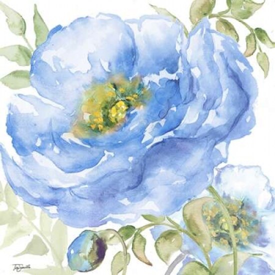 Sapphire Beauty II Poster Print by Tre Sorelle Studios - Item # VARPDXRB10764TS