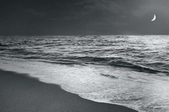 Moonrise Beach Black and White Poster Print by Sue Schlabach - Item # VARPDX21221