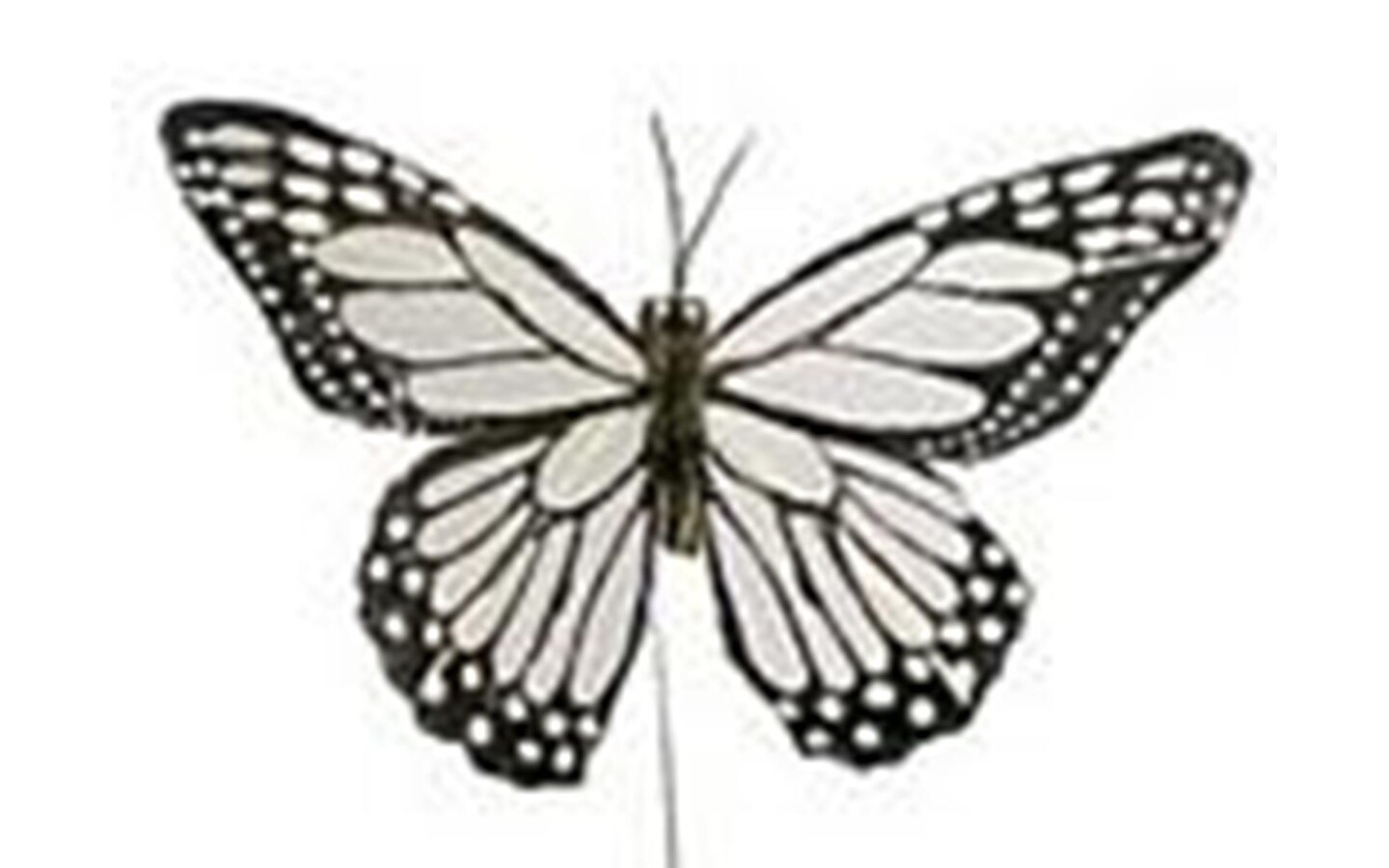 Midwest Design Butterfly 5&#x22; Feather Wire W/B 1pc