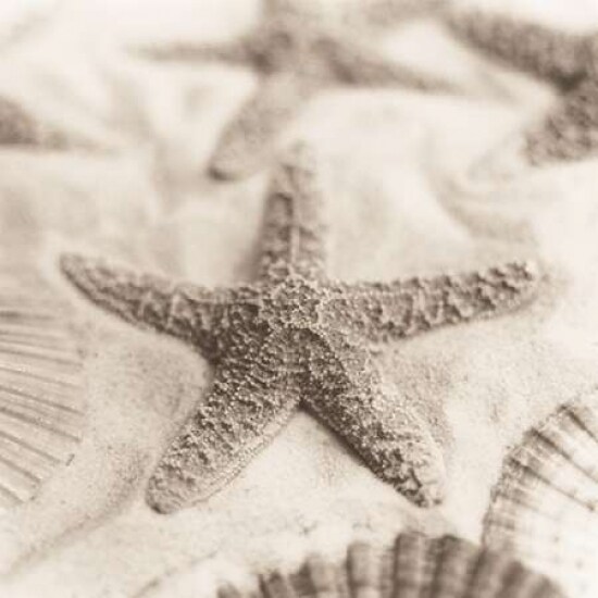 La Mer 2 Poster Print by Alan Blaustein - Item # VARPDXB1332D