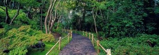 Tea Garden Walkway San Francisco Botanical Gardens Poster Print by Richard Berenholtz - Item # VARPDX4RB2260