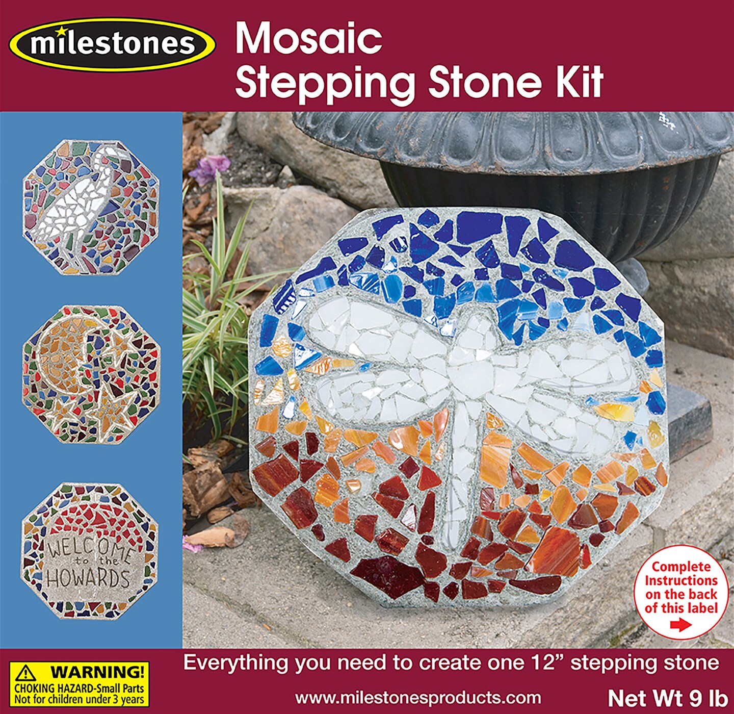Mosaic Stepping Stone Kit-Mosaic