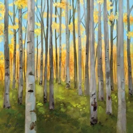 Birch Woods I Poster Print by Vittorio Milan - Item # VARPDXRB9609VM