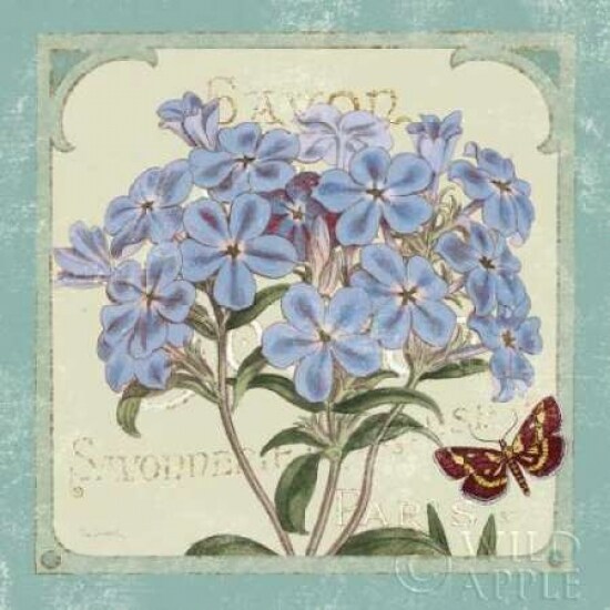 Parisian Flowers II Poster Print by Sue Schlabach - Item # VARPDX9080