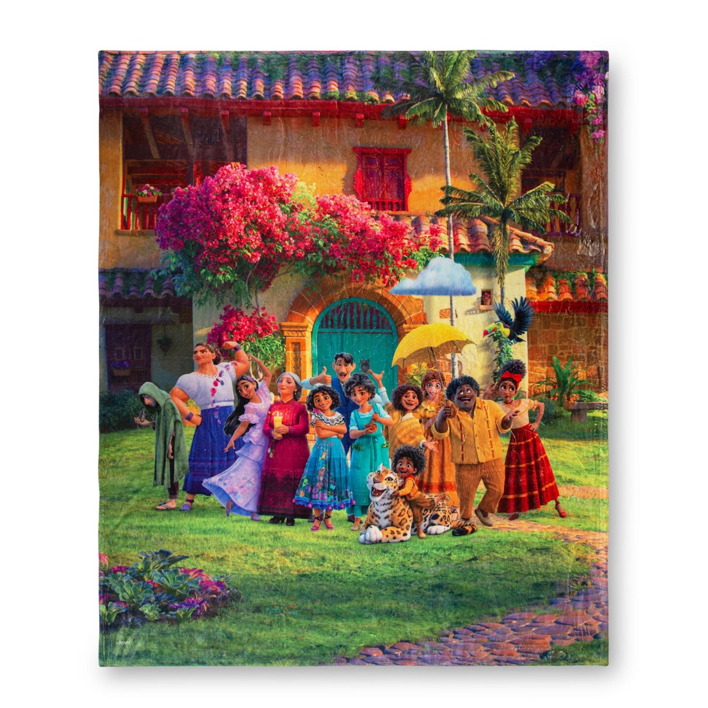 Disney Encanto Family Portrait SilkTouch Throw Blanket 50 x 60