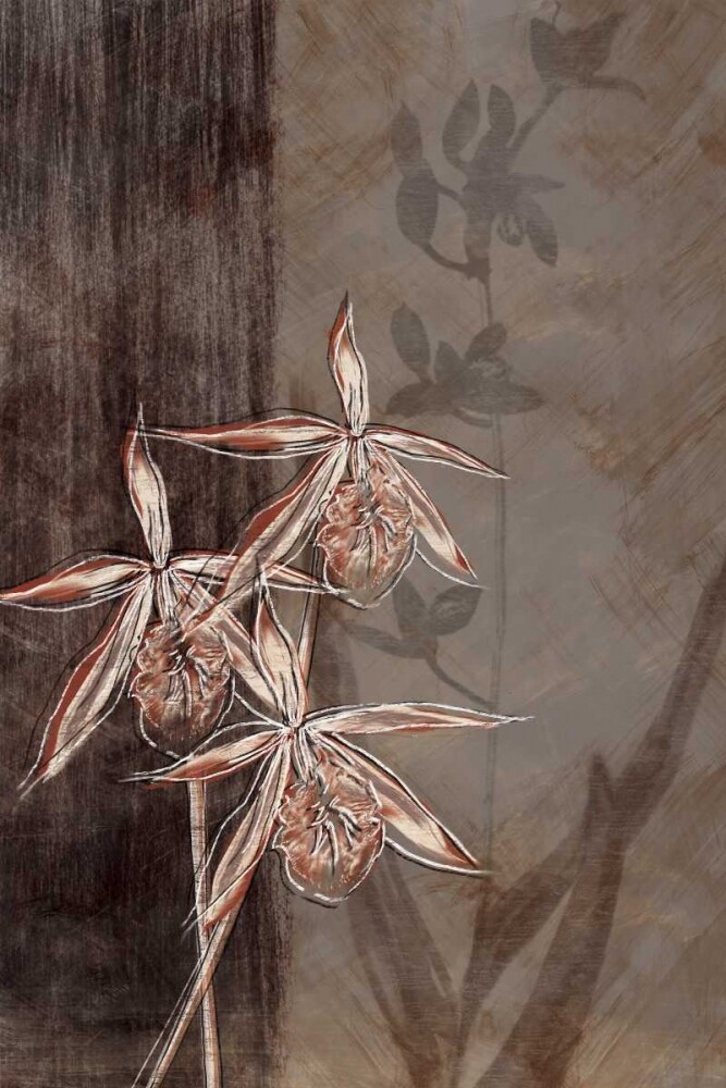 Orchid Sketch II Poster Print by Tandi Venter - Item # VARPDXPOD5140