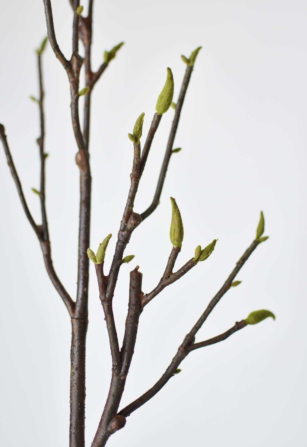 36&#x22; Faux Magnolia Tree Branch Stem