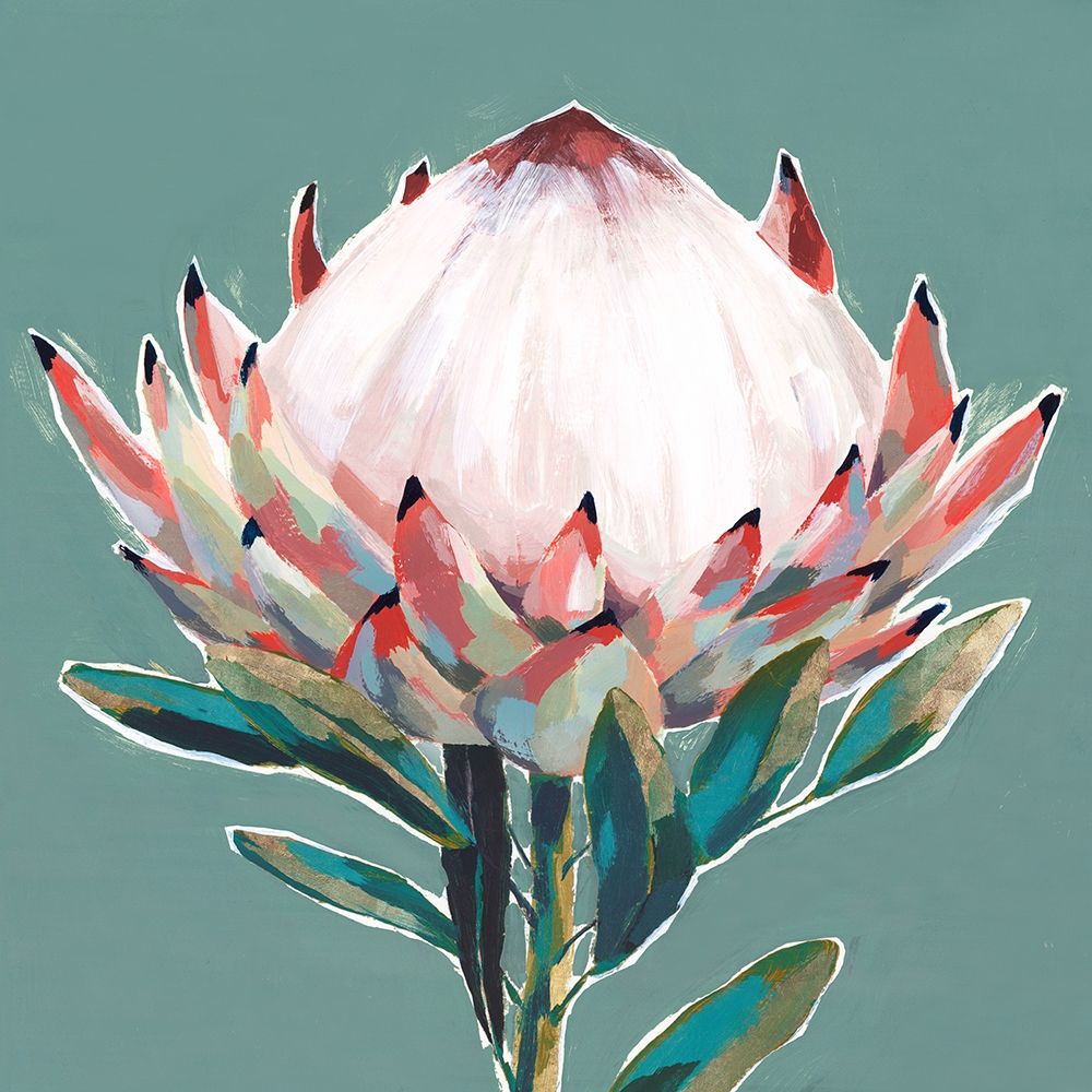 Blooming King Protea  Poster Print by Isabelle Z Isabelle Z - Item # VARPDXEZ450A