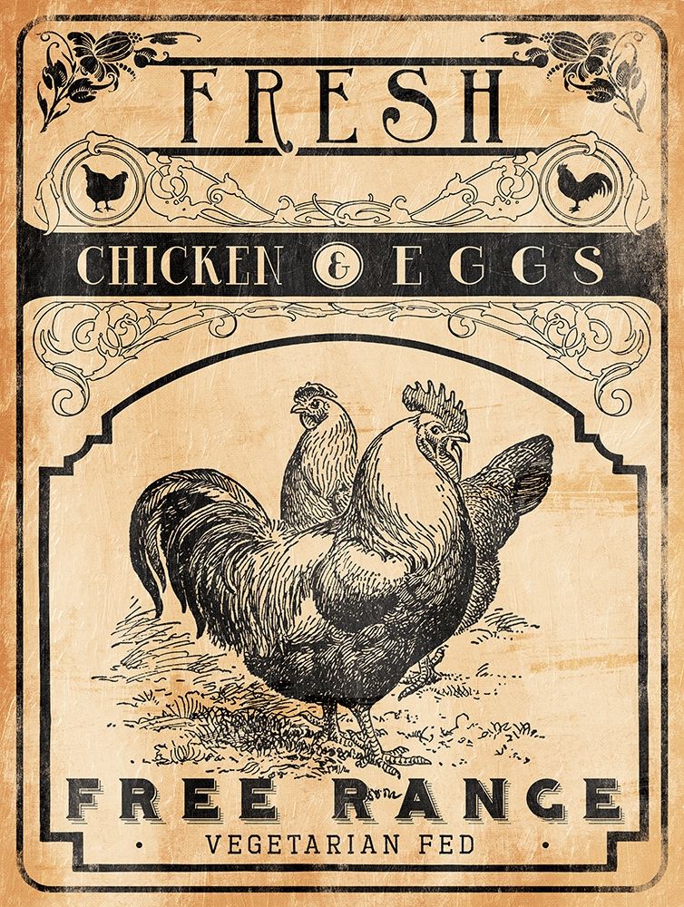 Chicken Eggs Poster Print by Jace Grey - Item # VARPDXJGRC634A