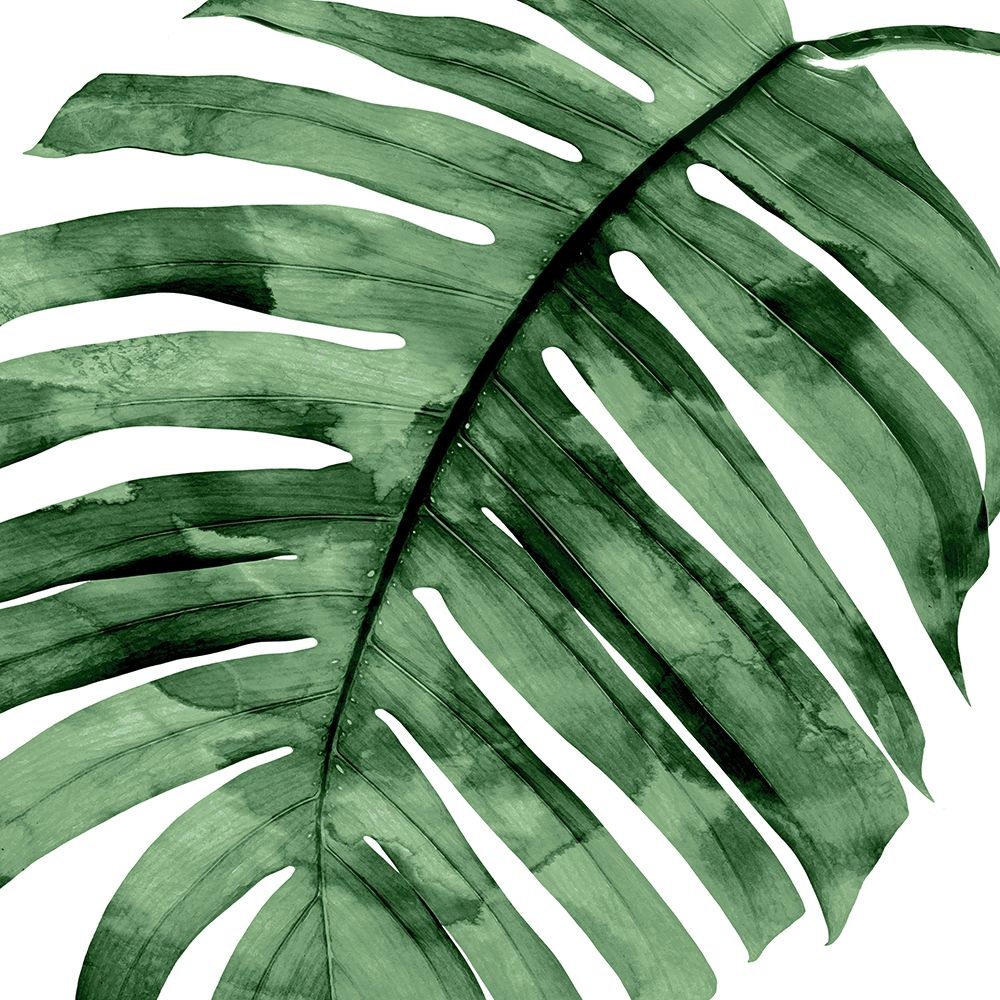 Tropical Green Palm II Poster Print by Melonie Miller # MMR116786