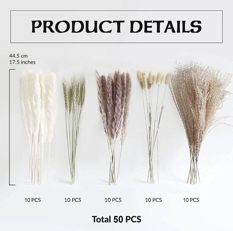 Natural Dried Reed Flowers
