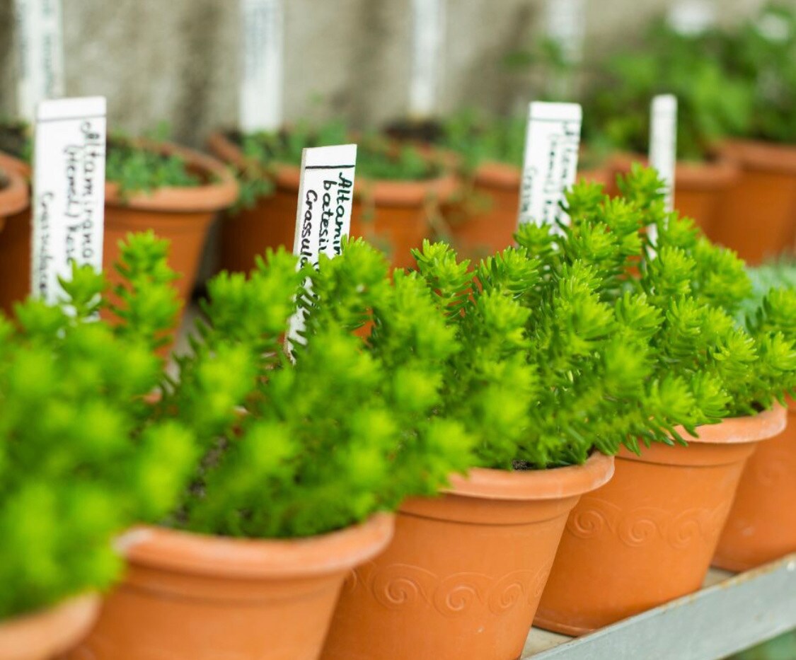 Sihl 3155 DuraCopy™ 11 Mil Synthetic C2S Mayte 8.5”x11” 25 Sheets FREE SHIPPING