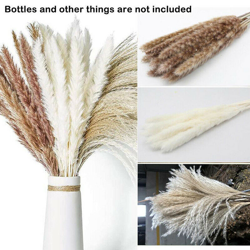 Kitcheniva 60PCS Natural Dried Pampas Grass Reed Flower
