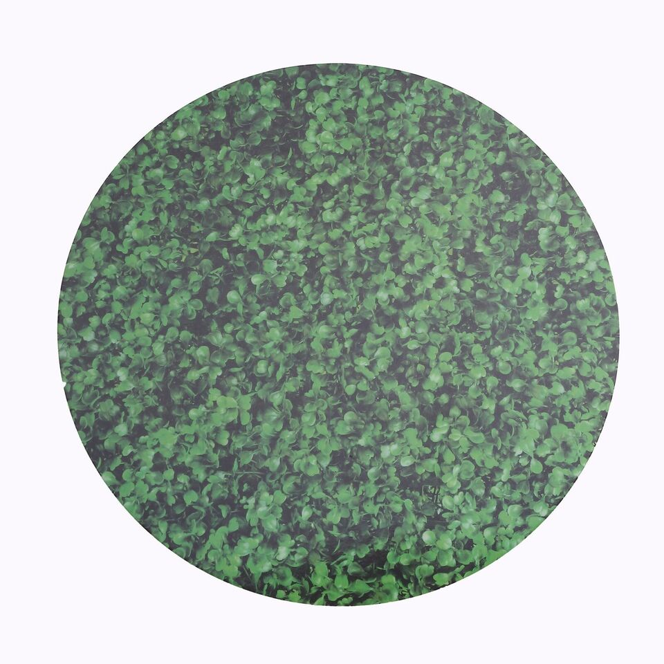 GREEN 6 Round 13&#x22; Boxwood Leaf Print Cardstock Paper PLACEMATS