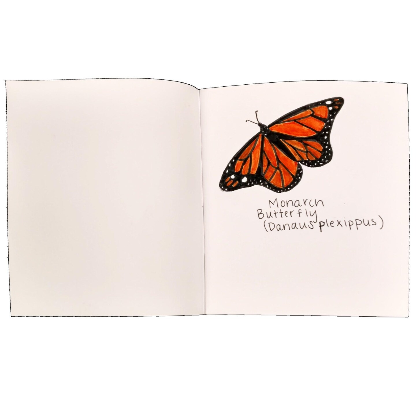 Soft Cover Blank Book, 7&#x22; x 8.5&#x22; Portrait, 14 Sheets Per Book, Pack of 24