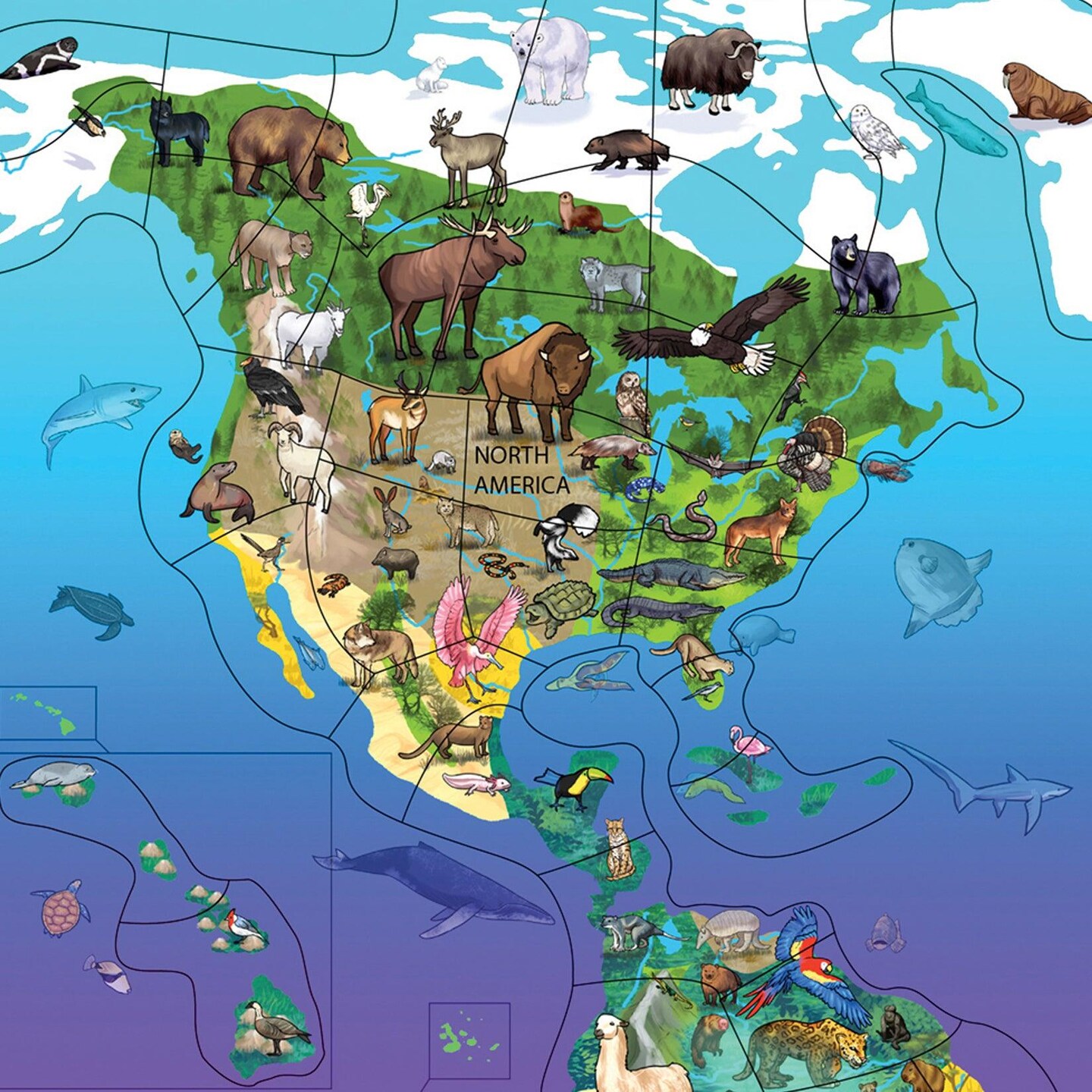 Animal Magnetism&#xAE; Magnetic Wildlife Map Puzzle: North &#x26; South America