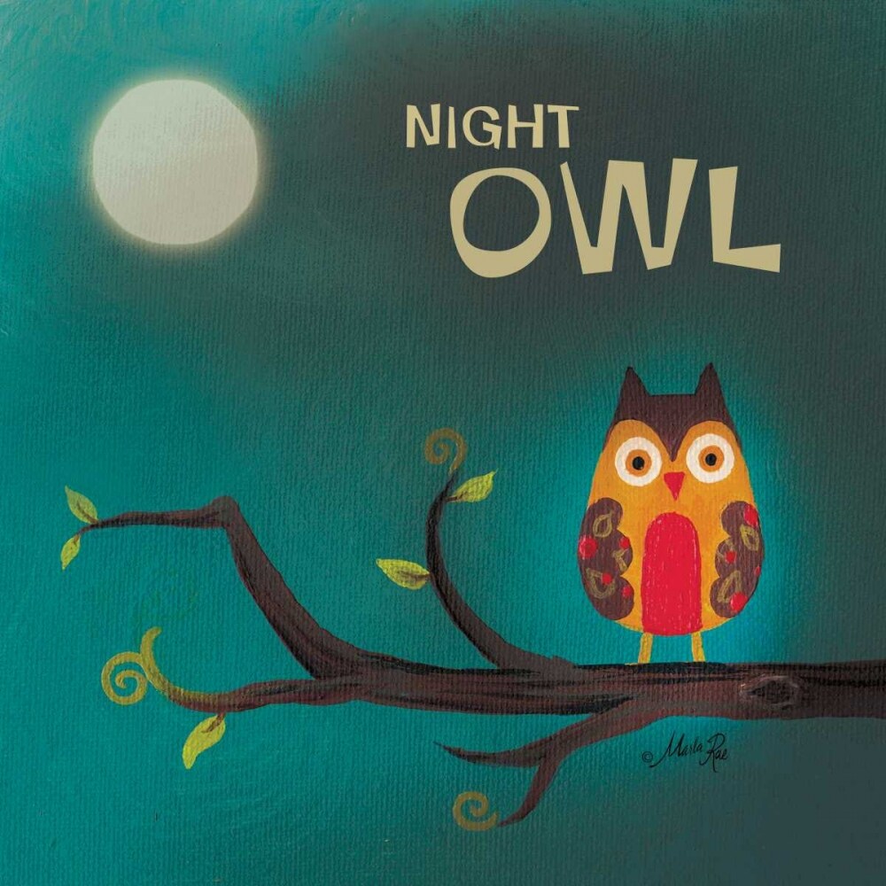 Night Owl I Poster Print by Marla Rae - Item # VARPDXMA136