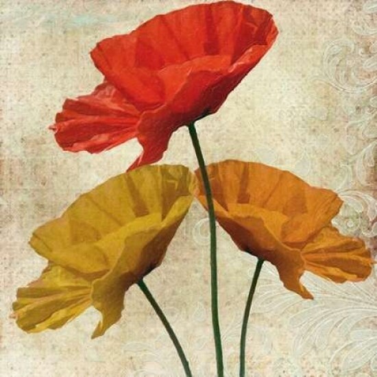 POPPY II Poster Print by Taylor Greene - Item # VARPDXTGSQ183B