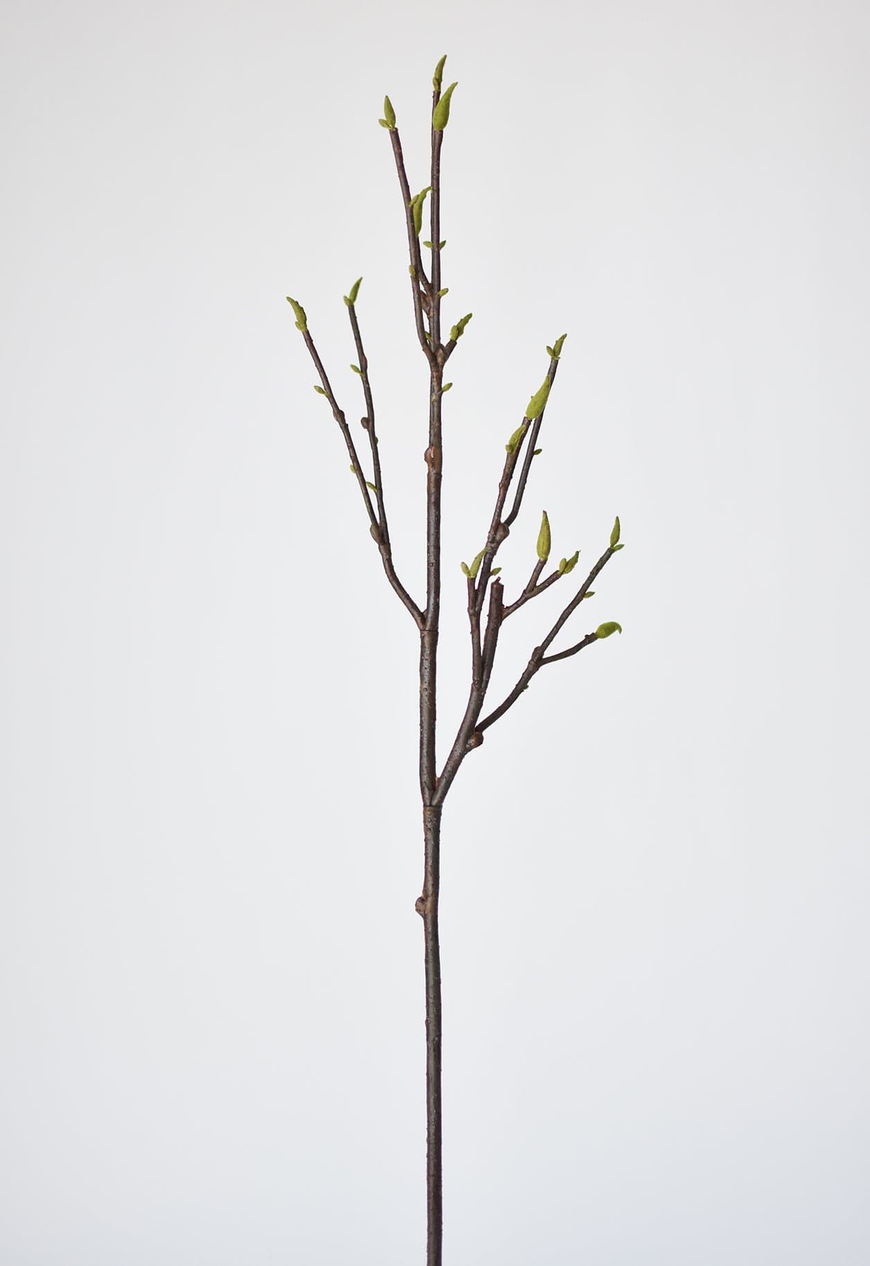36&#x22; Faux Magnolia Tree Branch Stem