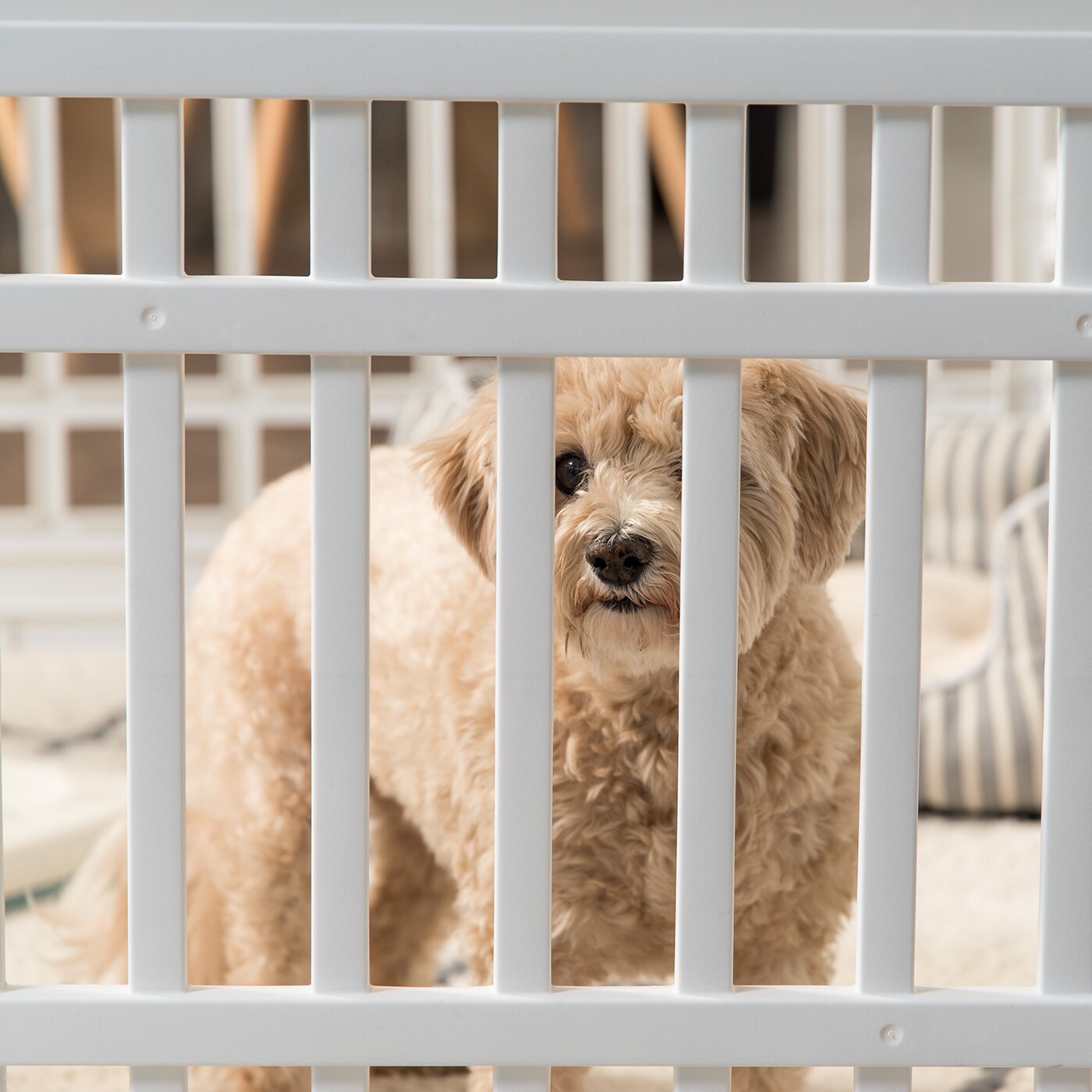 IRIS 4-8Panel 24/34&#x22;H Plastic Pet Playpen without Door