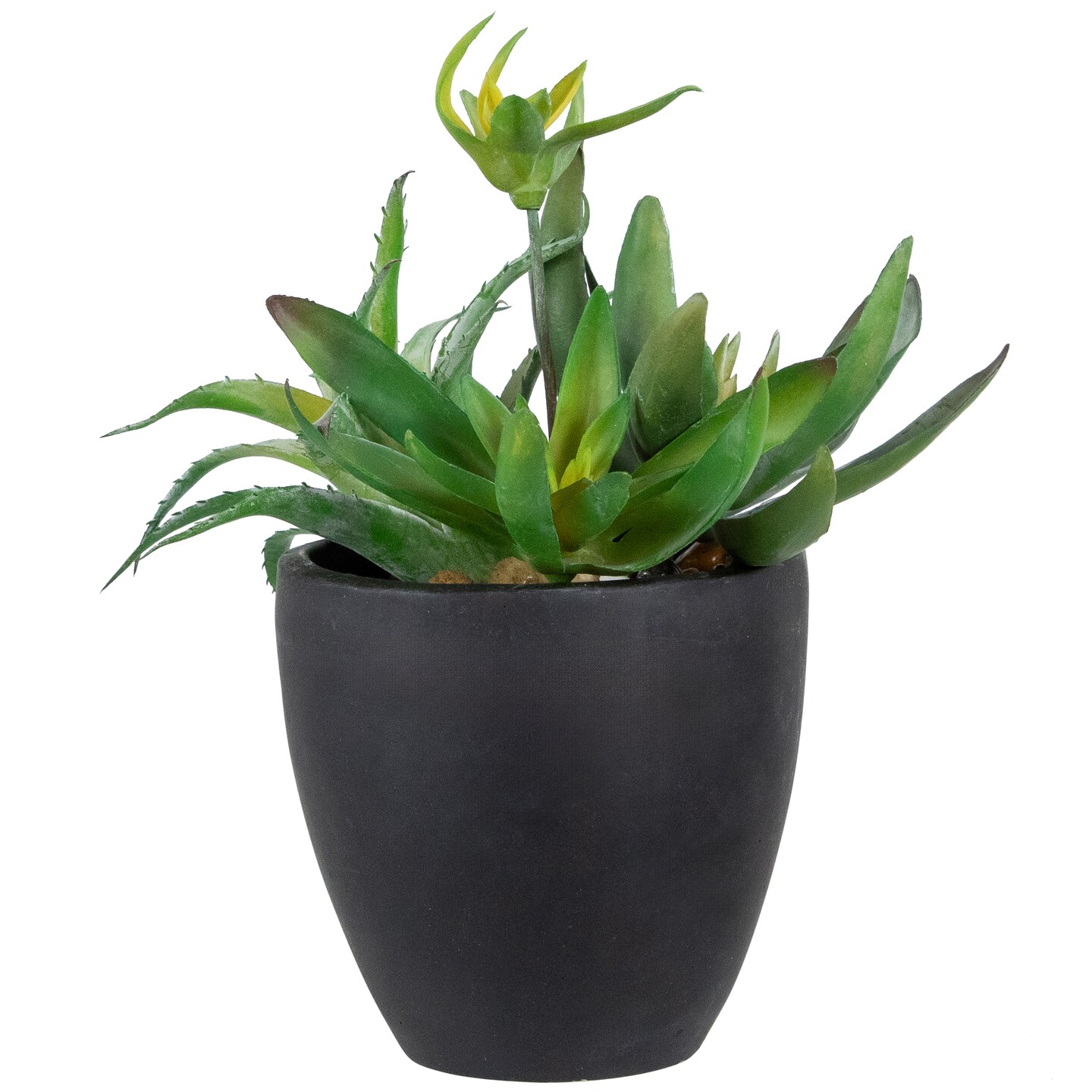 Northlight Potted Green Artificial Mixed Succulent Plant Arrangement