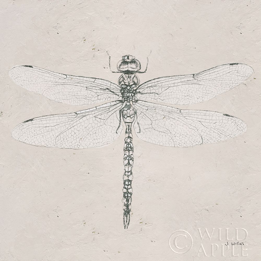 Soft Summer Sketches VI Poster Print by James Wiens - Item # VARPDX45696