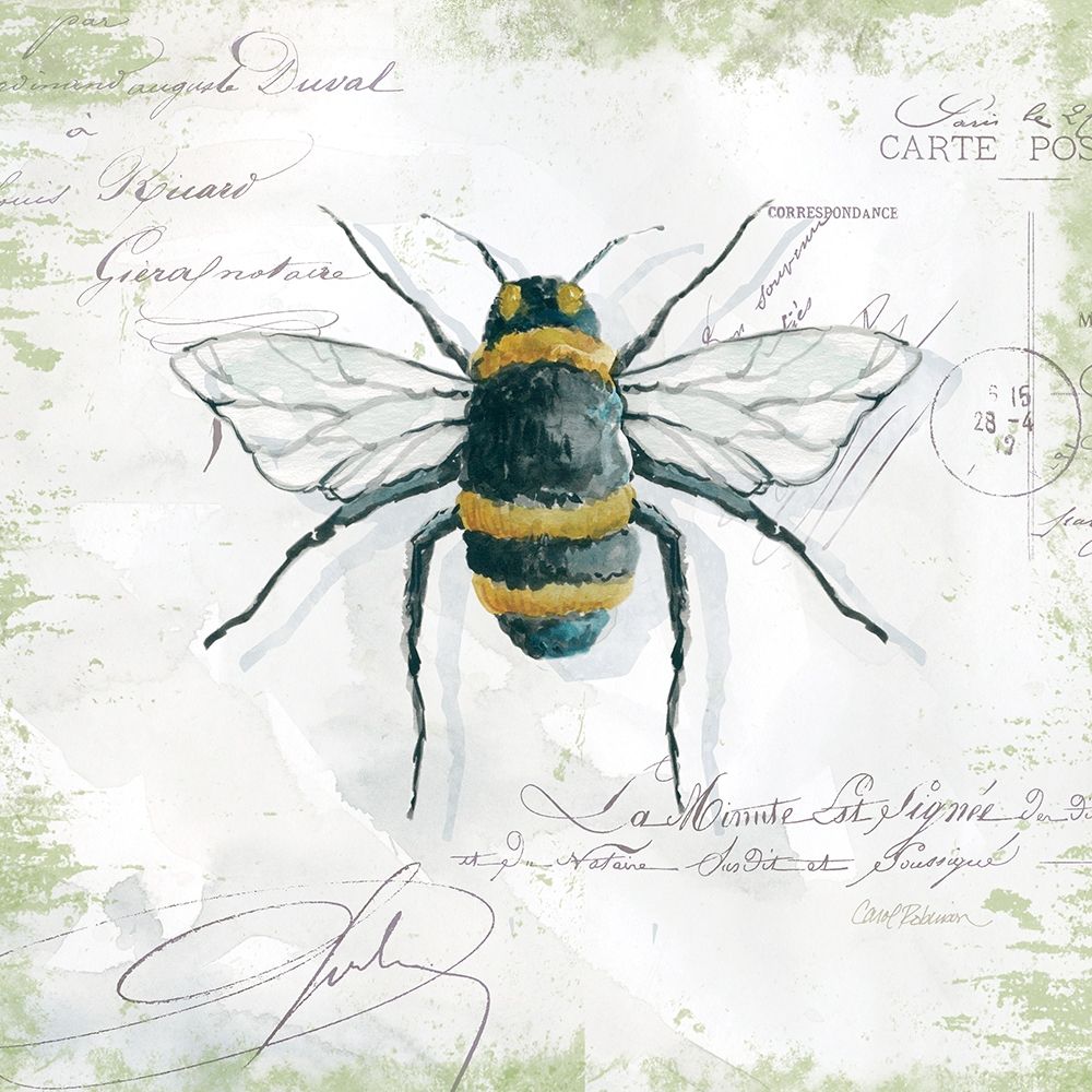 Garden Bee Poster Print by Carol Robinson - Item # VARPDX18054