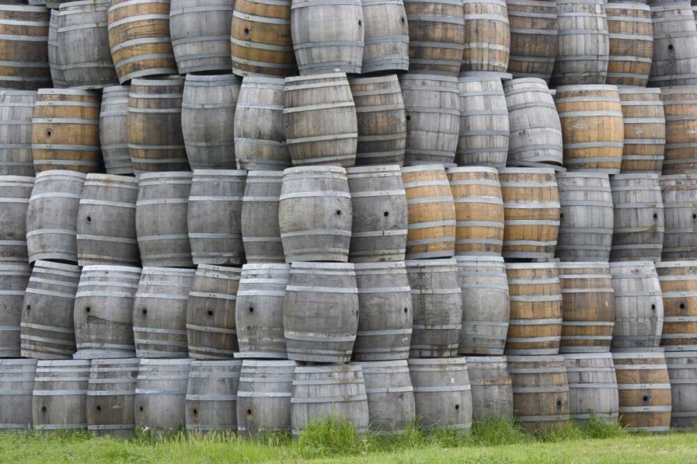 CA, San Luis Obispo Co, Stacks of wine barrels by Dennis Flaherty - Item # VARPDXUS05BJA0116