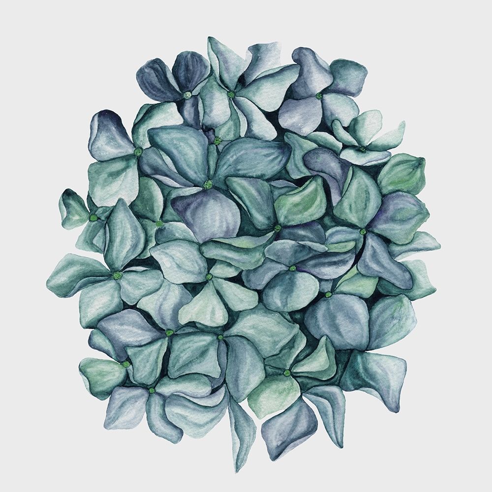 Hydrangea Poster Poster Print by Urban Road Urban Road # URP115