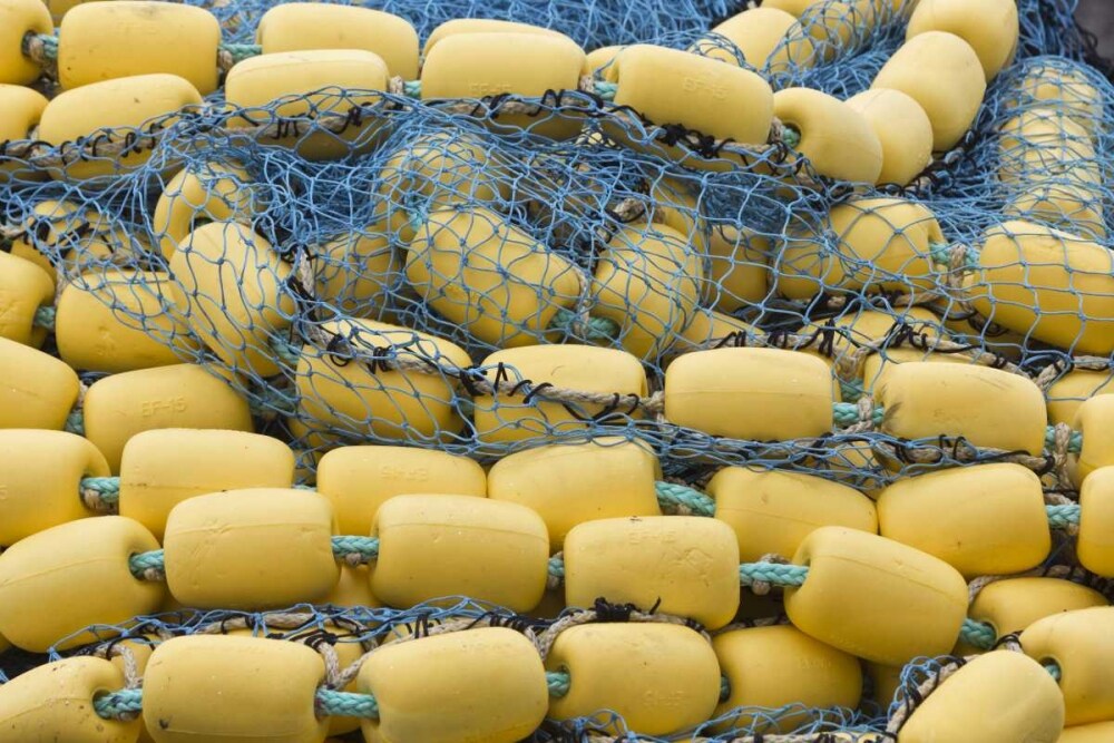 jansport backpacking packs tyl2 Good Latitude Travel Pack 30L Length-Action:Right Hand Online LifeLine Japanese Copolymer Fishing whether youre hitting the