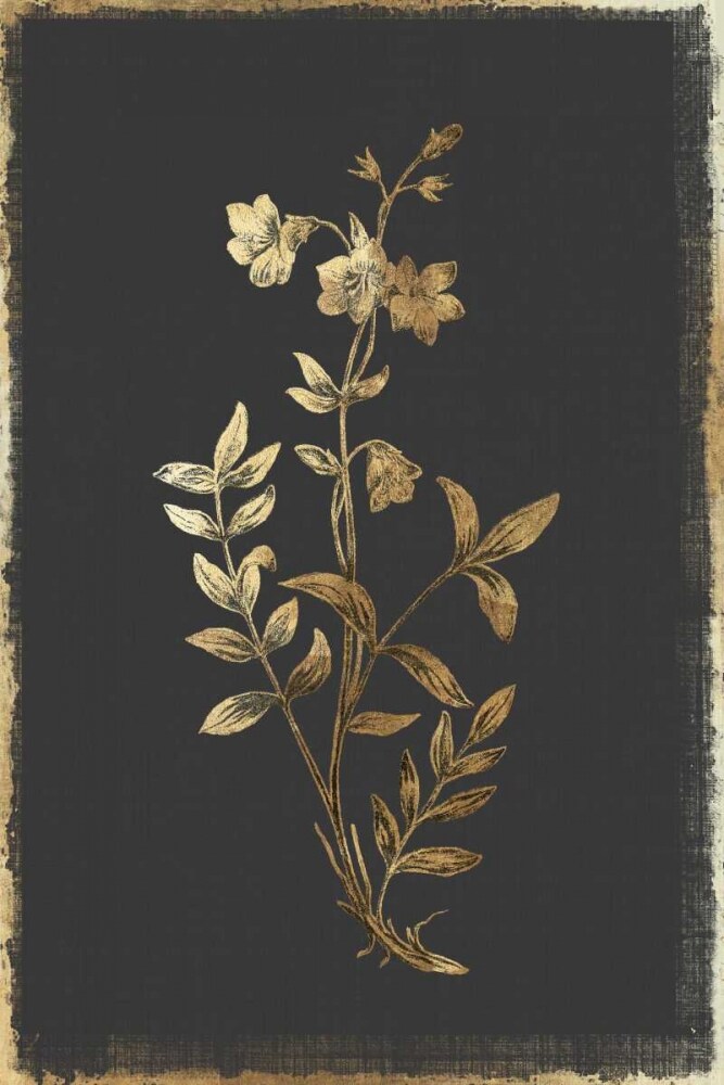 Greek Valerian Poster Print by PI Collection - Item # VARPDXPZ124A