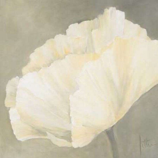 Poppy in white III Poster Print by Jettie Roseboom - Item # VARPDXGA0116177